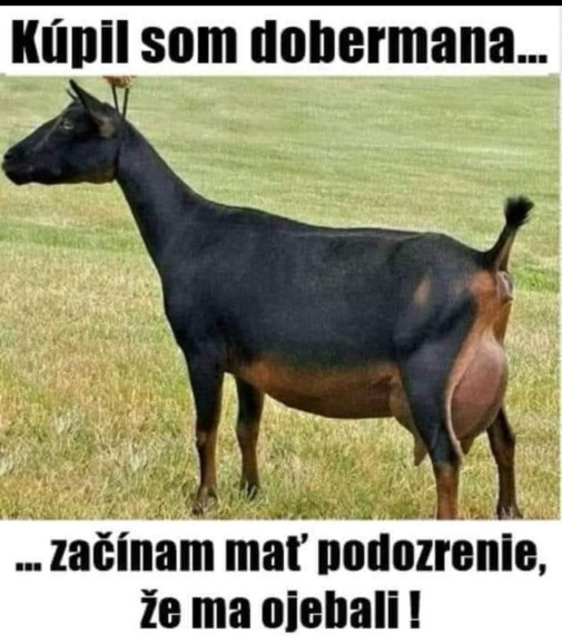 Pri nákupoch - jedine triezvy